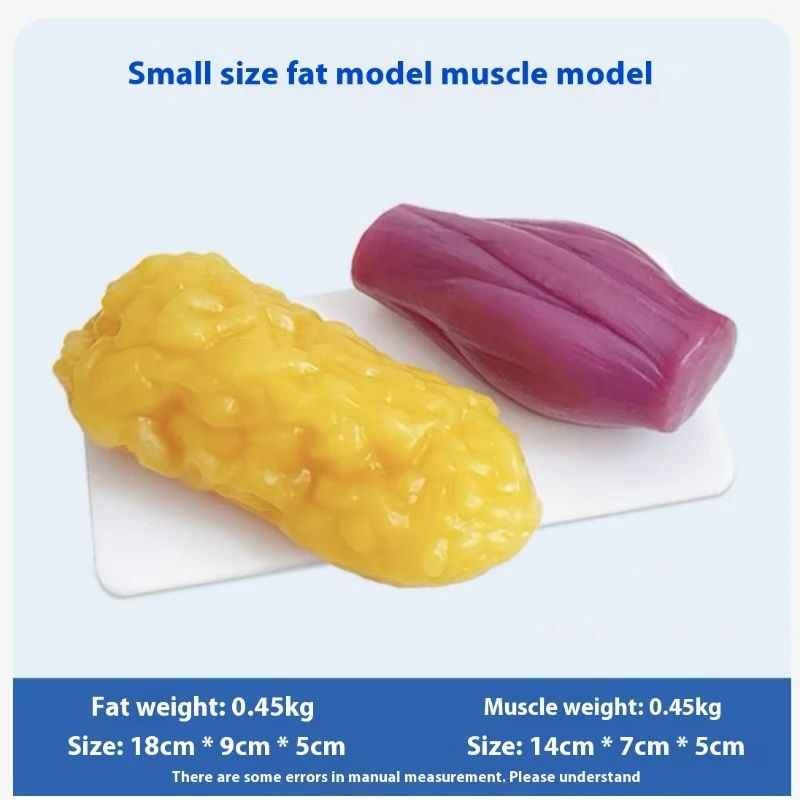 Human Muscle and Fat Replicas  - đánh giá và giá Nutrition For Fitness
